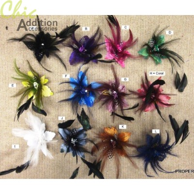Feather Clips
