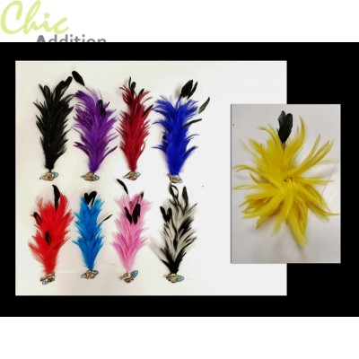 Feather Clips